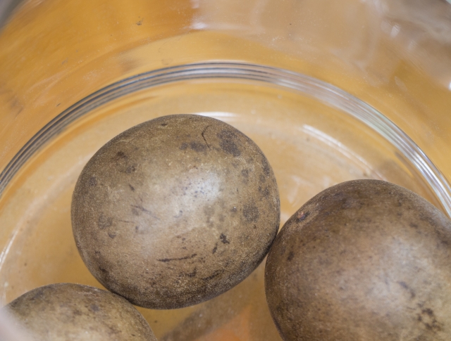 羅漢果　ラカンカ