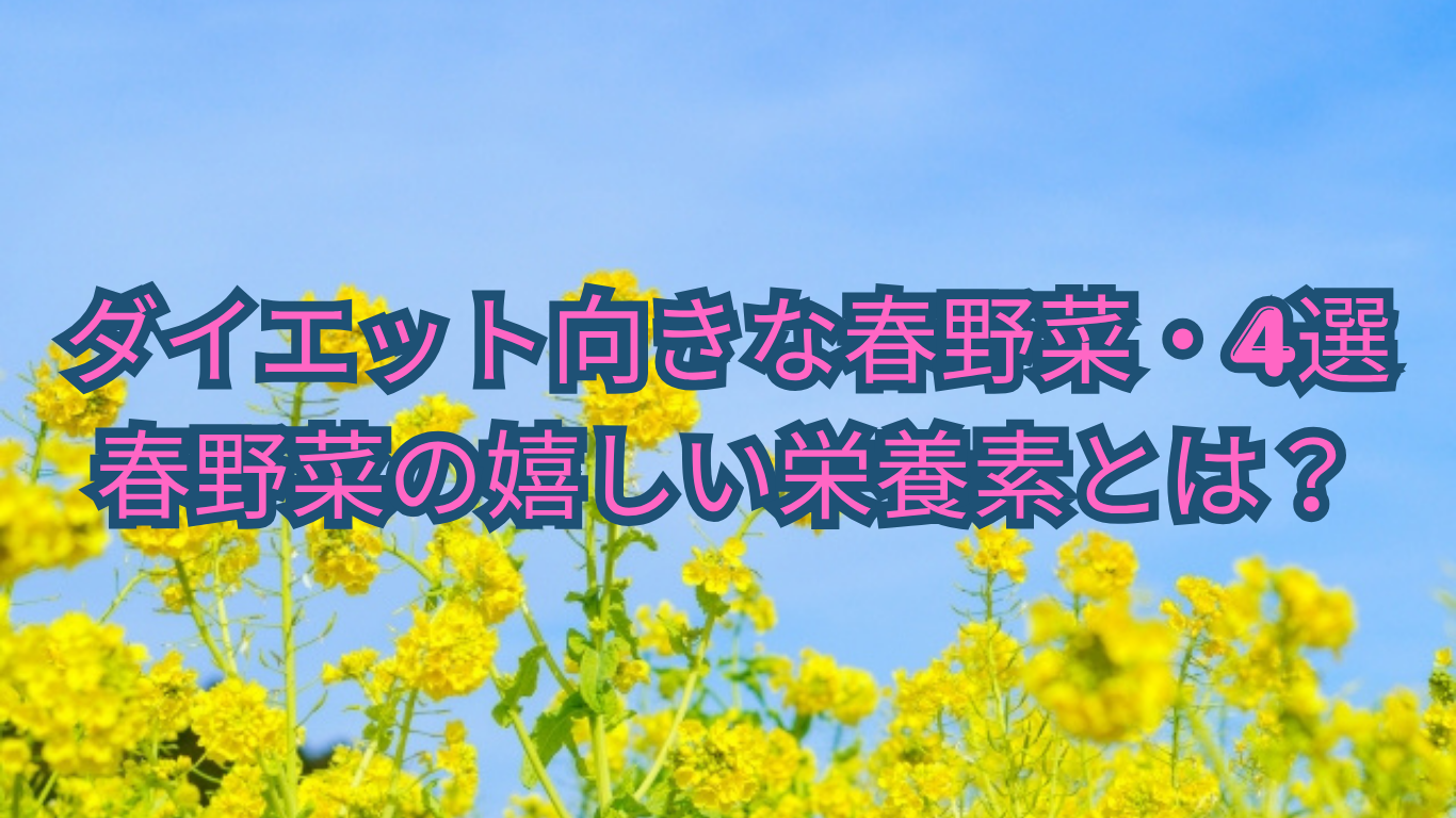春野菜のダイエット向きな栄養素とは？